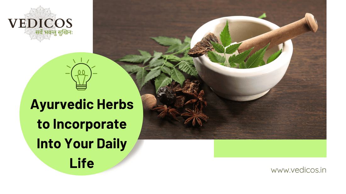 Ayurvedic Herbs to Incorporate Into Your Daily Life